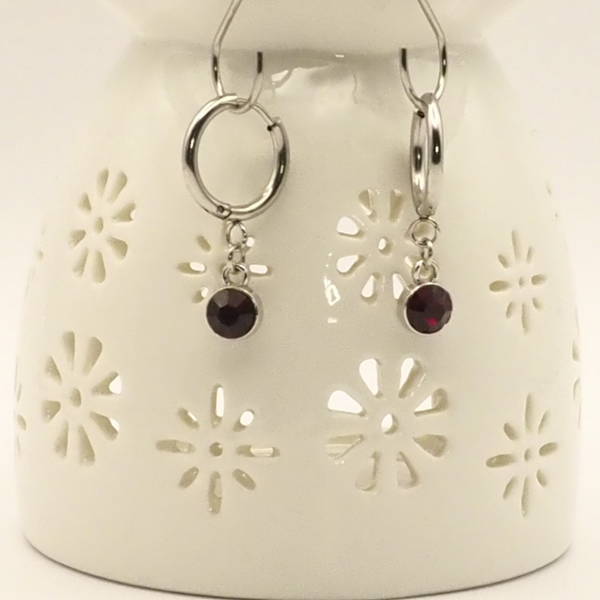 Birth Month Stainless Steel Hoop Earrings