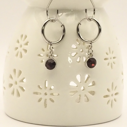 Birth Month Stainless Steel Hoop Earrings