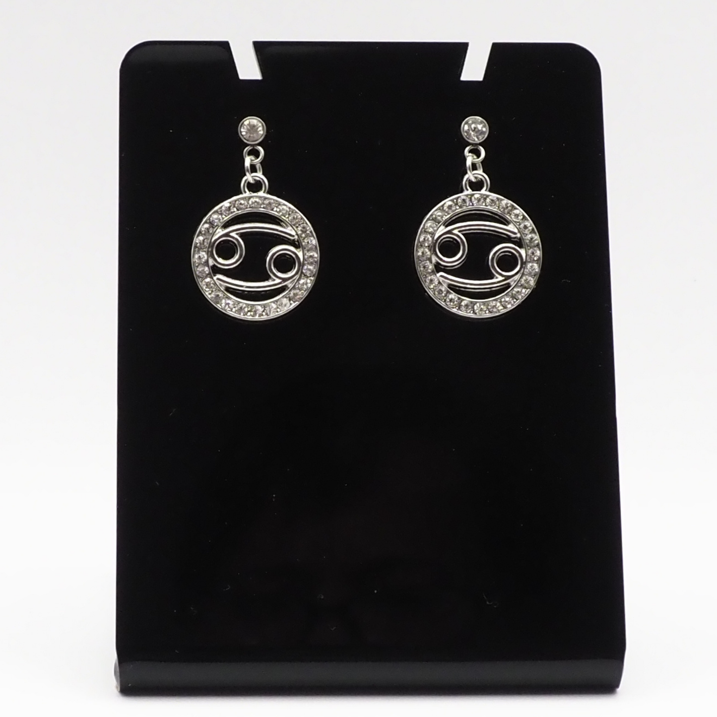 Zodiac Symbol Earrings